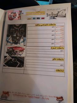 نيسان صني